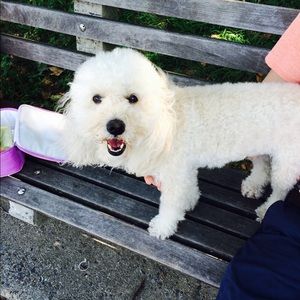 Meet your Posher, Shirin